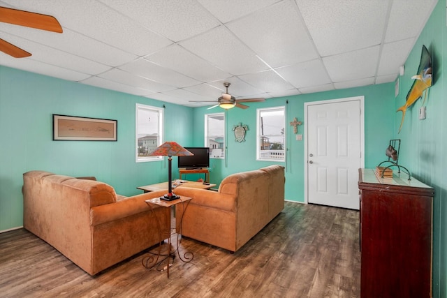 living room featuring a wealth of natural light, dark wood-type flooring, ceiling fan, and a paneled ceiling