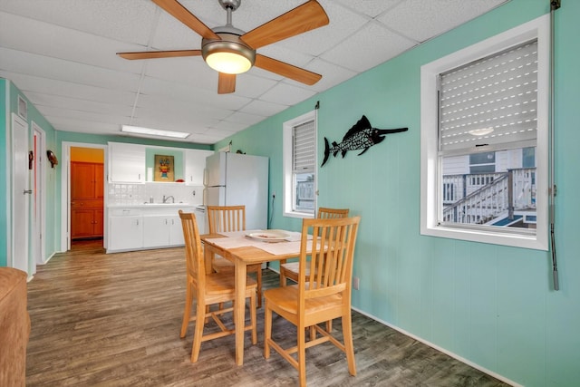 dining room featuring hardwood / wood-style flooring, sink, a paneled ceiling, and ceiling fan