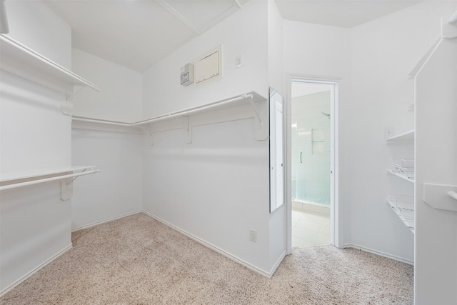 walk in closet featuring light colored carpet