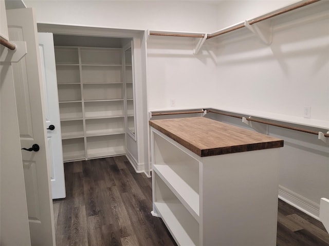 walk in closet featuring dark wood-type flooring
