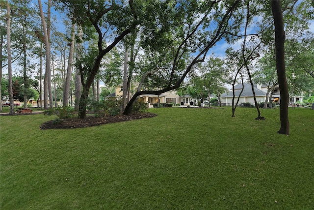 7611 Kings River Ln, Humble, TX 77346 - view of grassy yard