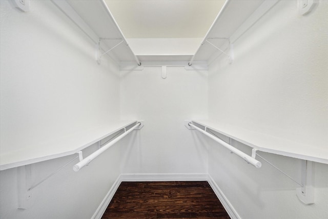 spacious closet featuring dark wood-type flooring