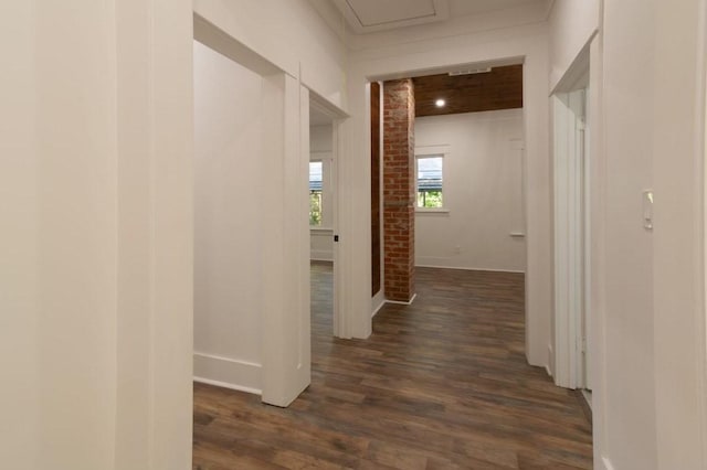 hallway with dark hardwood / wood-style flooring