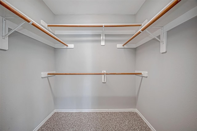 spacious closet featuring carpet flooring