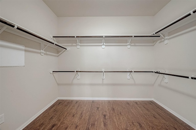 walk in closet with hardwood / wood-style floors