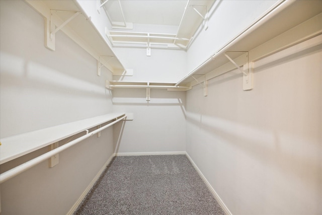 spacious closet with carpet floors