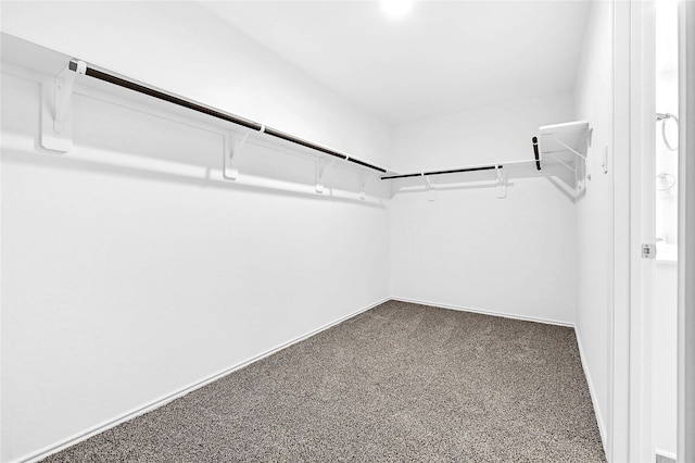 walk in closet with carpet