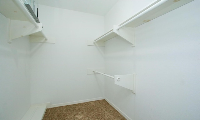 spacious closet with carpet flooring