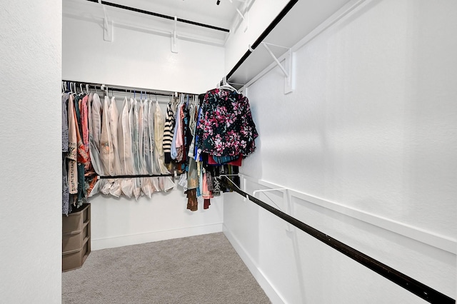 spacious closet featuring carpet floors