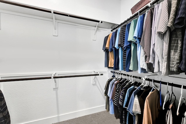 spacious closet with carpet