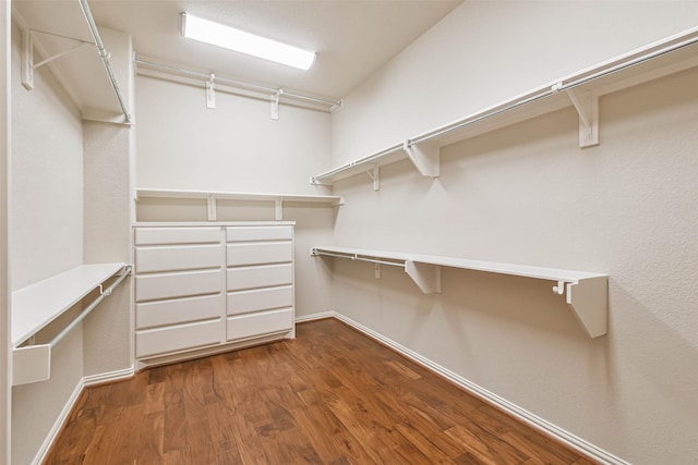 walk in closet featuring dark hardwood / wood-style flooring