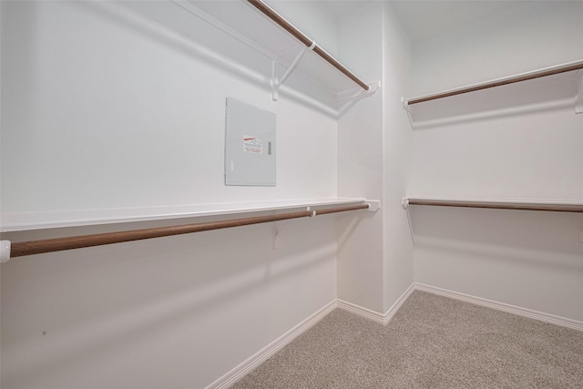 7816 Stoneyway Dr, Houston, TX 77040 - walk in closet with carpet floors