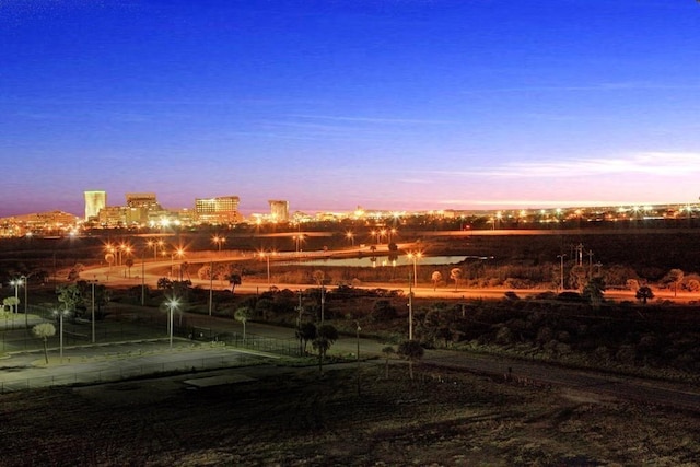 view of yard at dusk