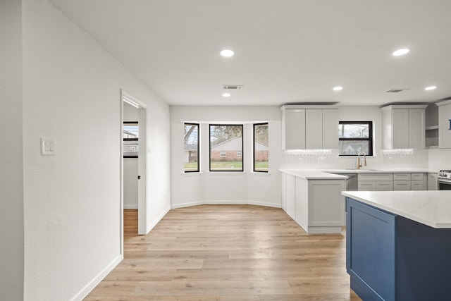 kitchen with a healthy amount of sunlight, sink, backsplash, and light hardwood / wood-style flooring