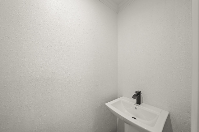 bathroom with sink and ornamental molding