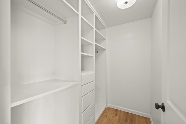 spacious closet featuring hardwood / wood-style flooring