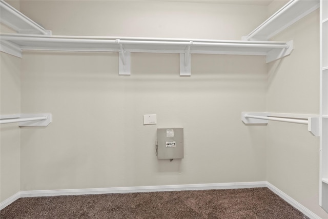 spacious closet with carpet flooring