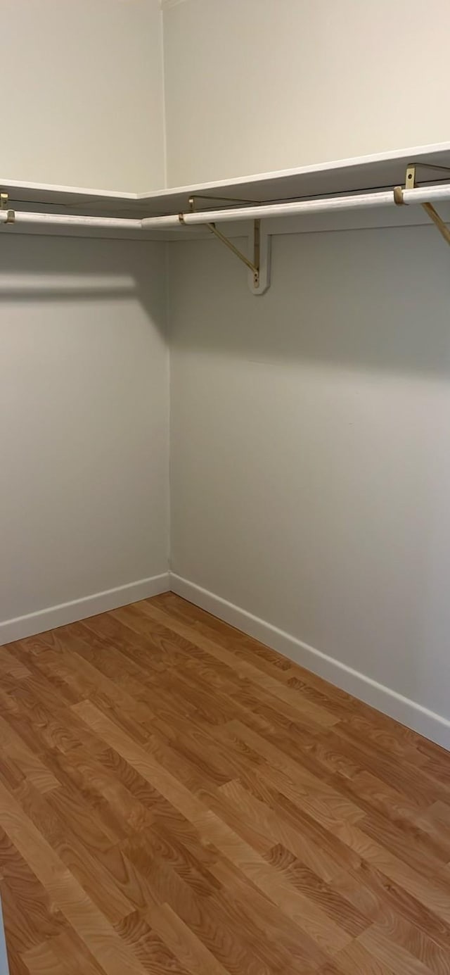 walk in closet with wood finished floors