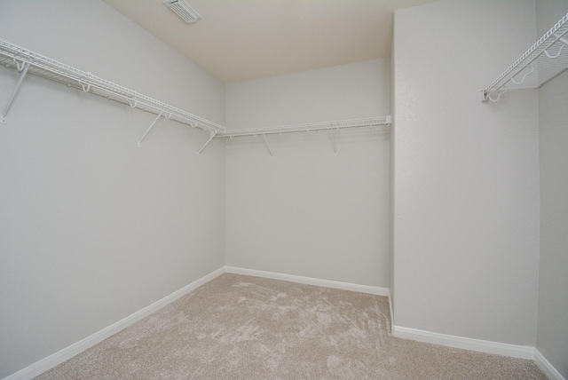 walk in closet with light colored carpet