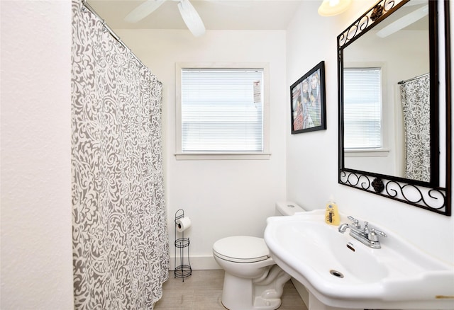 bathroom featuring ceiling fan, sink, and toilet