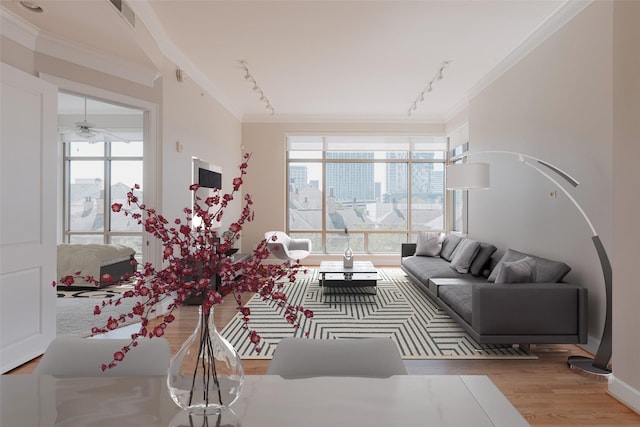 living room featuring crown molding, plenty of natural light, and light hardwood / wood-style floors