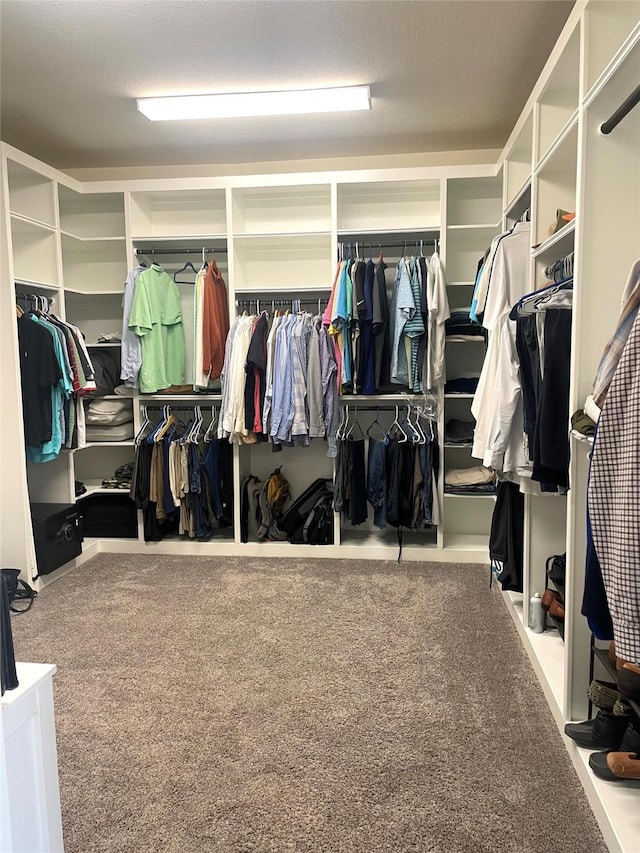 walk in closet with carpet floors