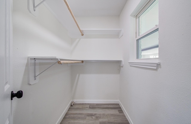 spacious closet featuring light hardwood / wood-style floors