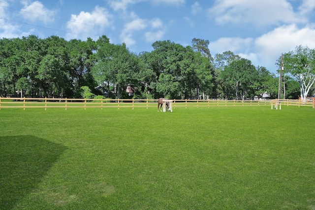 view of home's community with a lawn