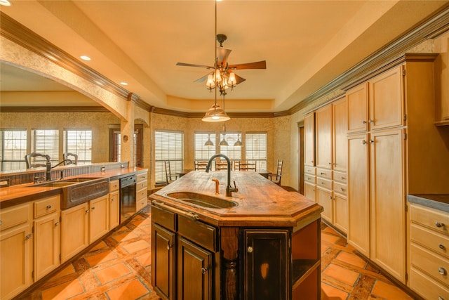 kitchen with sink, a tray ceiling, an island with sink, and black dishwasher