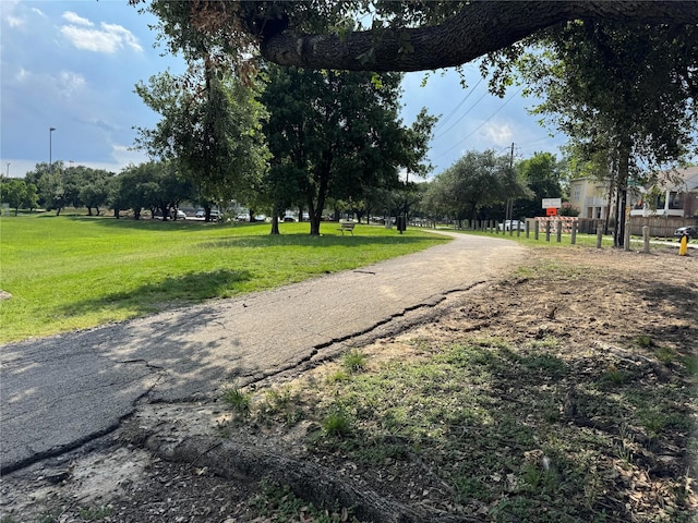 2802 Morrison St Unit 210, Houston, TX 77009 - photo 28