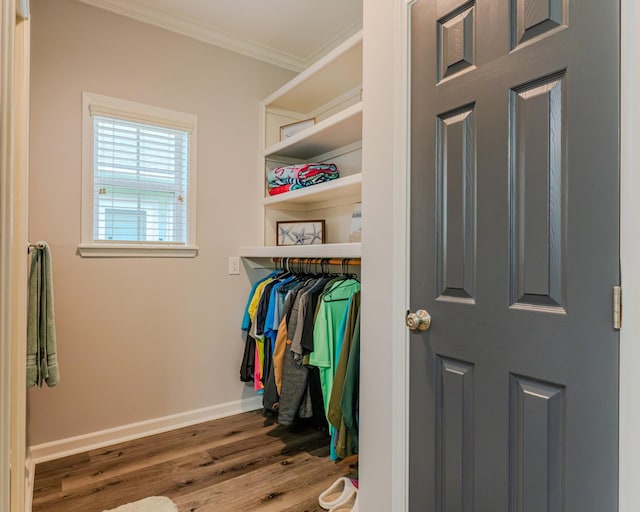 spacious closet featuring hardwood / wood-style flooring