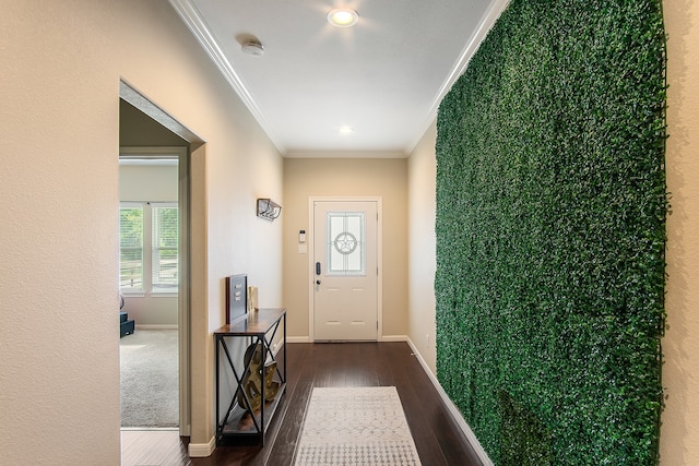 entryway featuring crown molding and dark wood-type flooring