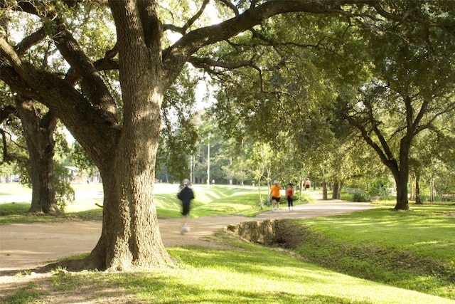 view of property's community with a lawn