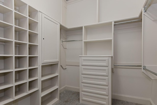 spacious closet featuring carpet floors