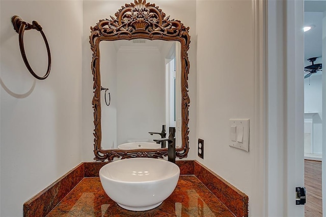 bathroom featuring ornamental molding and sink