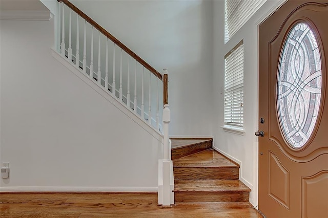 entryway featuring wood-type flooring