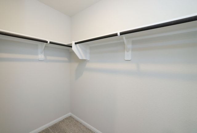 spacious closet with carpet