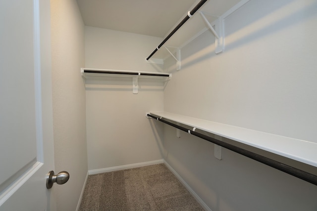 walk in closet featuring carpet