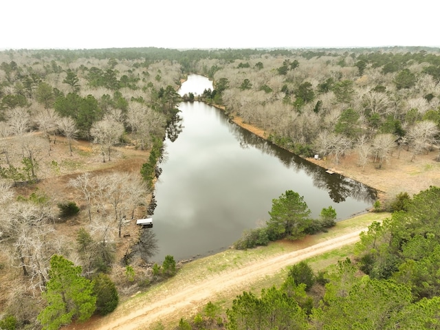 bird's eye view featuring a forest view and a water view
