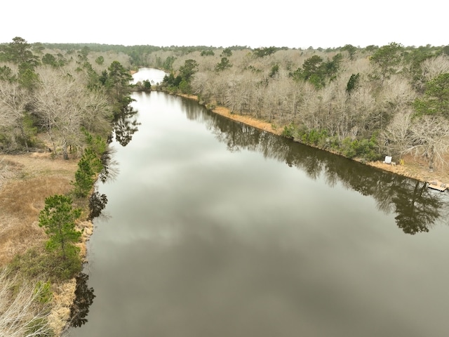 birds eye view of property with a water view and a wooded view