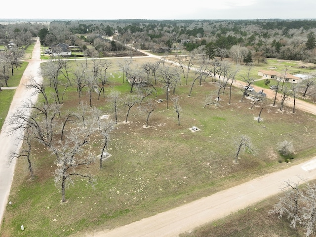 bird's eye view featuring a rural view
