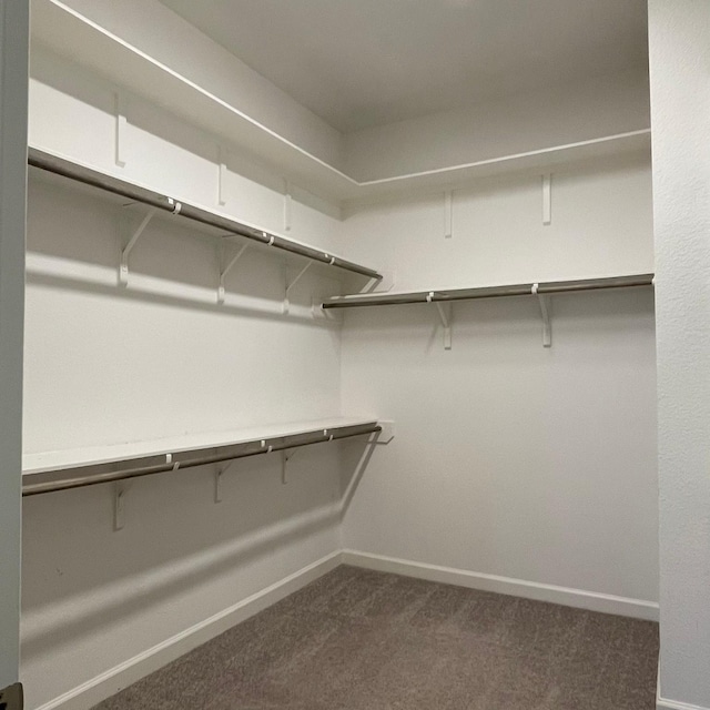 walk in closet featuring dark colored carpet