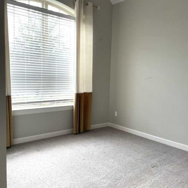 spare room with carpet floors and baseboards