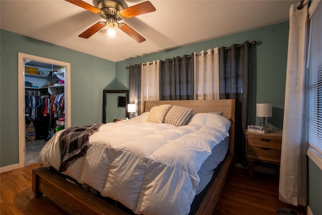 bedroom featuring ceiling fan, dark hardwood / wood-style flooring, a closet, and a spacious closet