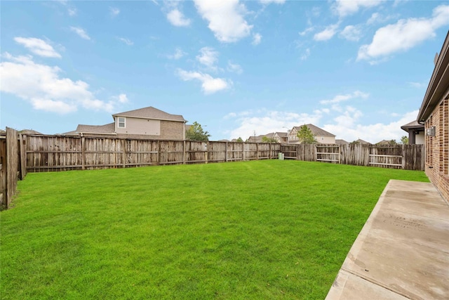 view of yard featuring a patio