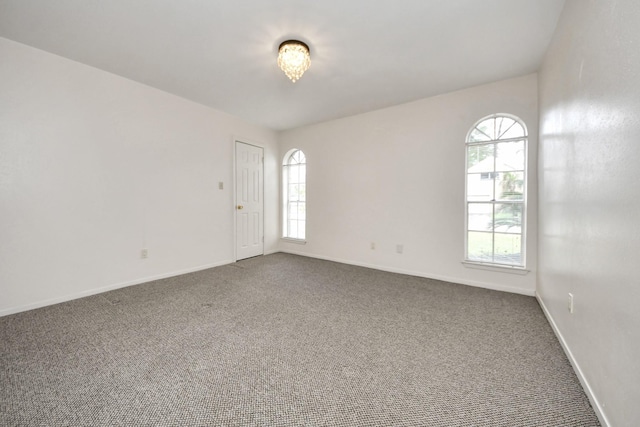 empty room featuring a wealth of natural light and carpet floors