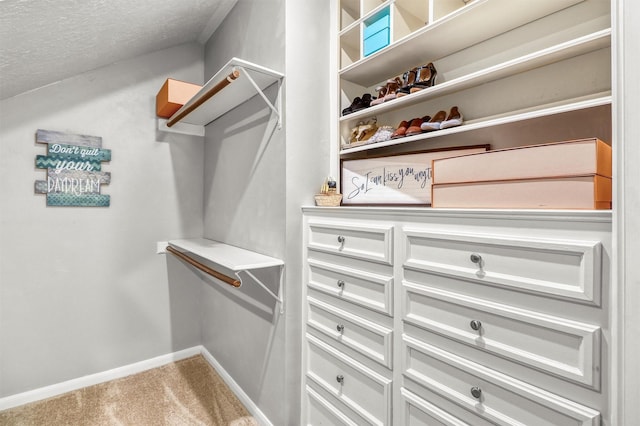 walk in closet with carpet floors