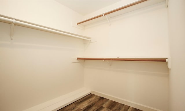 spacious closet featuring dark hardwood / wood-style floors