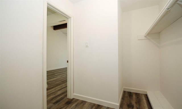 walk in closet with dark hardwood / wood-style floors