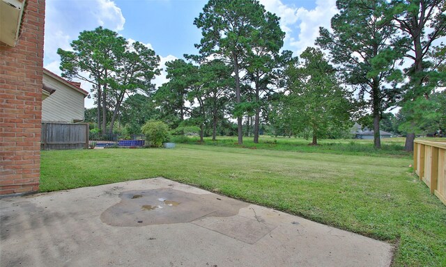 view of yard featuring a patio area